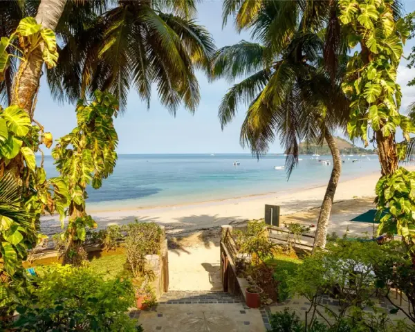 Tropikalny raj na Madagaskarze. Piękna plaża, palmy i turkusowe morze. Idealna pogoda na listopad.