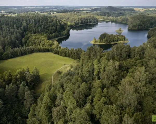 Malownicze jezioro Jaczno otoczone gęstym lasem, z małą wyspą pośrodku. W oddali widać pagórkowaty krajobraz pól i kolejnych lasów.