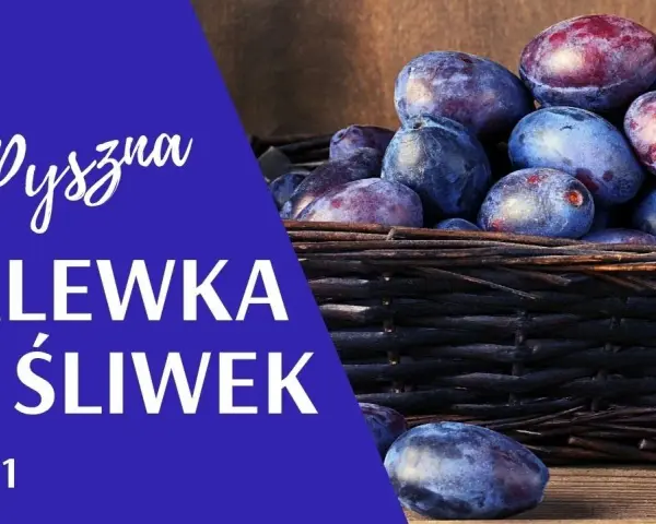 Domowa nalewka ze śliwek: Prosty przepis krok po kroku