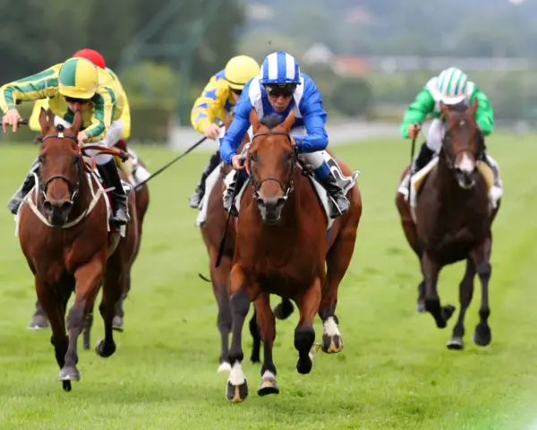 Des jockeys colorés en pleine course, un moment intense de la filière turf.