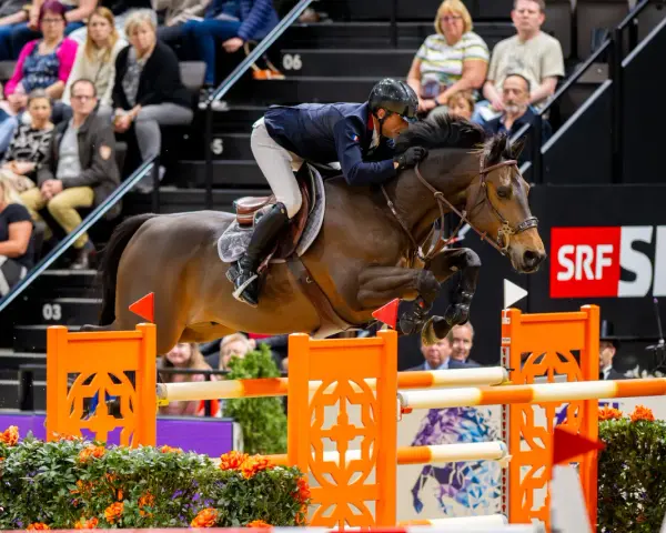 Un cavalier et son cheval, un donatello d'auge, franchissent un obstacle. Le public est en arrière-plan.