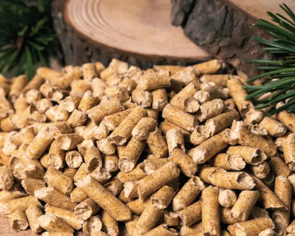 Gros tas de granulés de bois, parfaits pour la consommation pellet maison 80m2. Des branches de pin et des rondins de bois en arrière-plan.