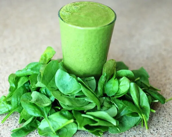 Un verre de smoothie vert entouré d'épinards frais, parfait pour un régime sans lectine.