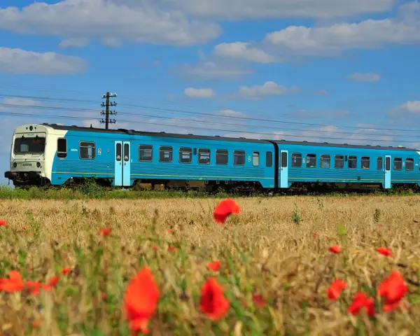 Błękitny pociąg Arriva jedzie przez pole dojrzałego zboża, a na pierwszym planie kwitną czerwone maki.
