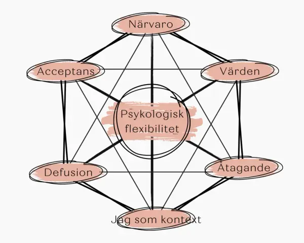 Diagram som visar psykologisk flexibilitet med komponenter som närvaro, acceptans, värden, åtagande, jag som kontext och defusion. Dessa visar vad ACT betyder i praktiken.