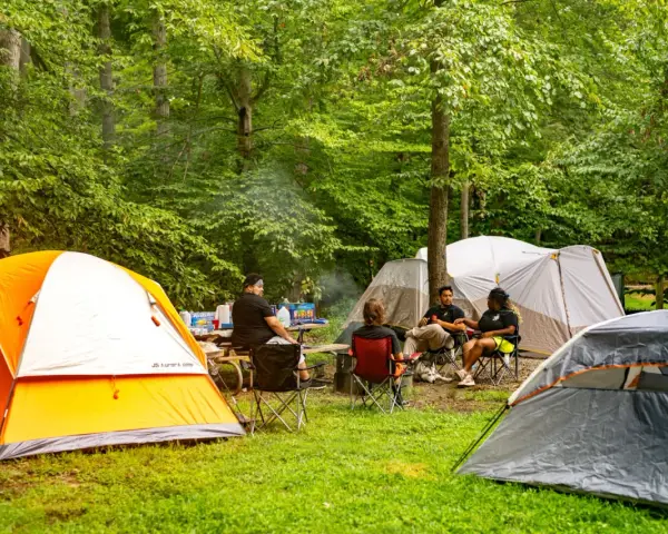 Grupa przyjaciół odpoczywa na polu namiotowym Mazury. Wokół rozstawione są namioty, a na stole piknikowym stoją napoje i przekąski.