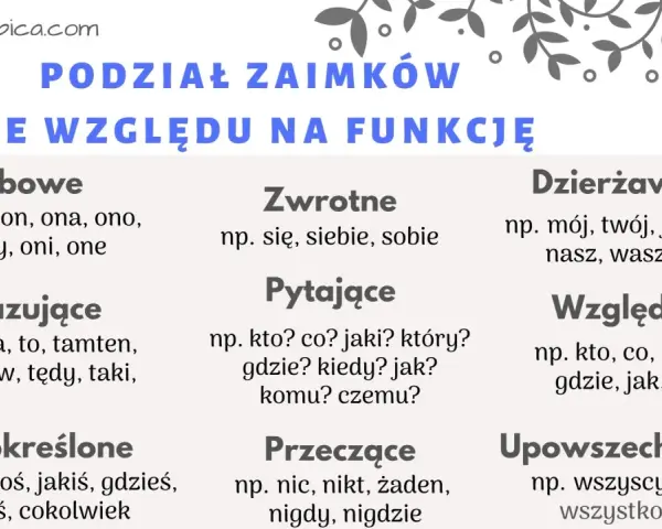Podział zaimków ze względu na funkcję: osobowe, zwrotne, pytające, wskazujące, nieokreślone, przeczące, dzierżawcze, względne, upowszechniające.