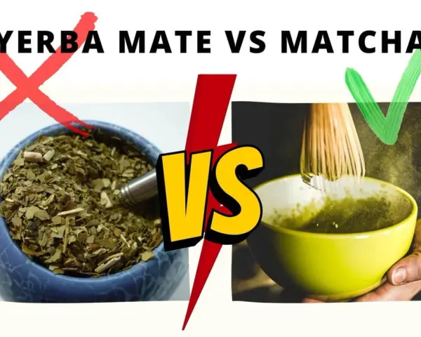 Matcha czy Yerba? Odkryj, co lepsze dla Twojego zdrowia i energii