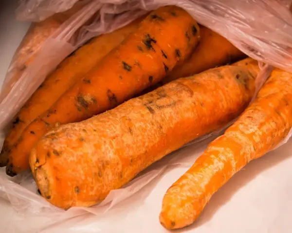 Kilka pomarańczowych marchewek w plastikowej torbie, na których widać ciemne plamy, oznaki pleśni.