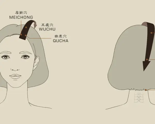 A diagram showing points on the head and neck for acupressure. Learn how to massage your head for relaxation.