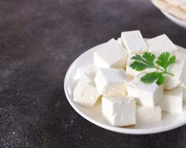 Queso paneer cortado en cubos en un plato blanco con una ramita de cilantro.