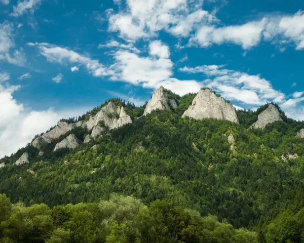 Szczawnica: Atrakcje, szlaki, smaki. Jak zaplanować idealny wyjazd?