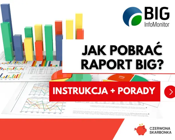 Wykresy i raporty BIG InfoMonitor. Dowiedz się, jak pobrać informację o zadłużeniu i uzyskać instrukcje oraz porady.