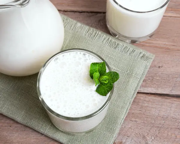 Un pichet et deux verres de lait fermenté, l'un garni de menthe fraîche. Une liste des yaourts fermentés à déguster.