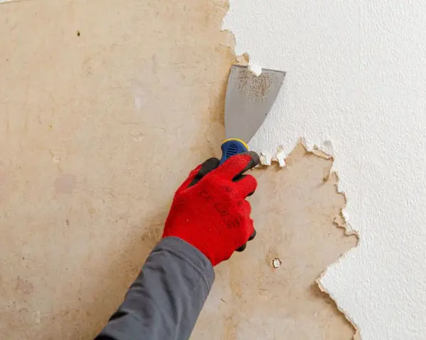 Main tenant utilise un grattoir pour décoller papier peint ancien sur un mur.