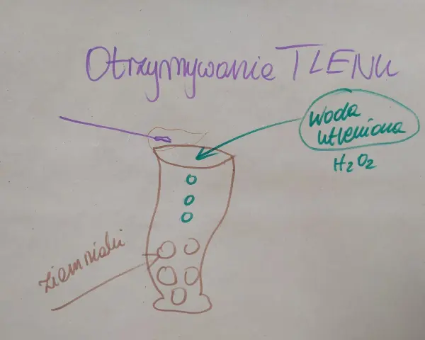 Otrzymywanie tlenu z wody utlenionej (peroxide co to) z użyciem ziemniaka.