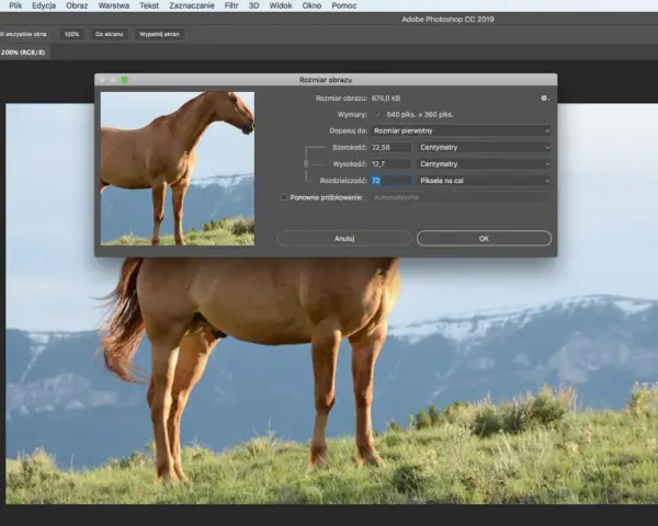 Photoshop DPI/PPI: Zmień rozdzielczość jak ekspert (bez strat!).