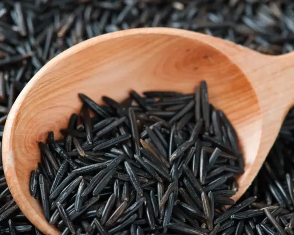 Drewniana łyżka pełna dzikiego ryżu, który słynie ze swoich niezwykłych właściwości odżywczych.