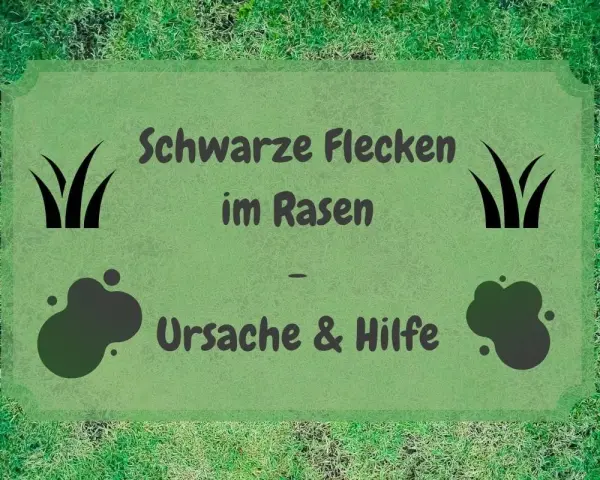 Schwarze Flecken im Rasen? Ursachen und Hilfe für einen gesunden Rasen.
