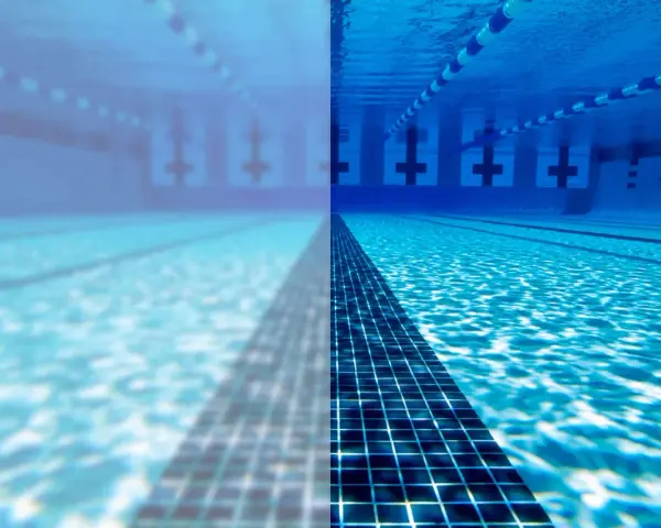 Underwater view of a swimming pool, half clear and half cloudy, with lane lines and lane markers.
