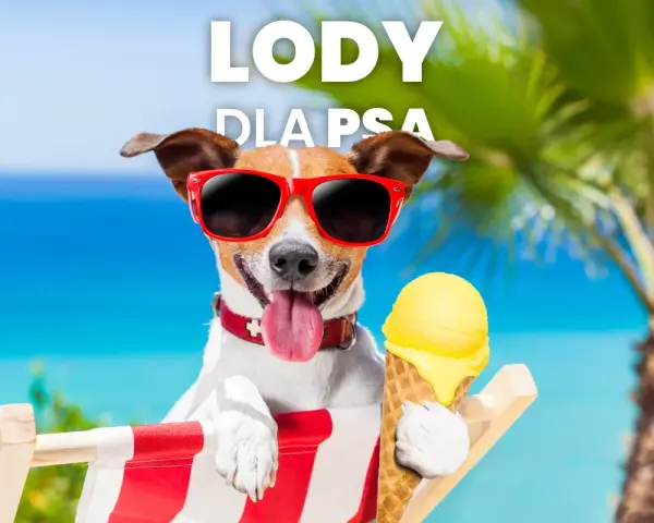 Bezpieczne lody dla psa: Przepisy, składniki i czego unikać