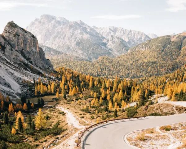 Malownicza droga w Dolomitach, otoczona jesiennymi drzewami, idealne miejsce na camping.