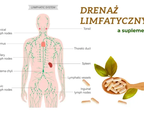 Ilustracja układu limfatycznego z zaznaczonymi węzłami chłonnymi, grasicą, śledzioną i naczyniami. Obok łyżka z kapsułkami, sugerująca wsparcie dla drenażu limfatycznego.