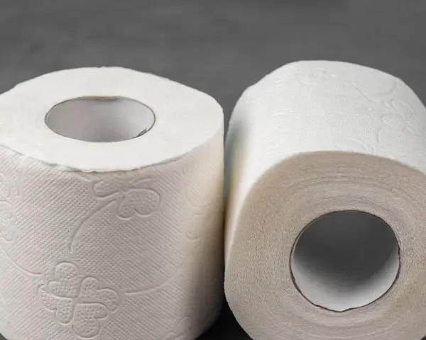Jaki papier toaletowy do oczyszczalni, aby uniknąć problemów z zatorami?
