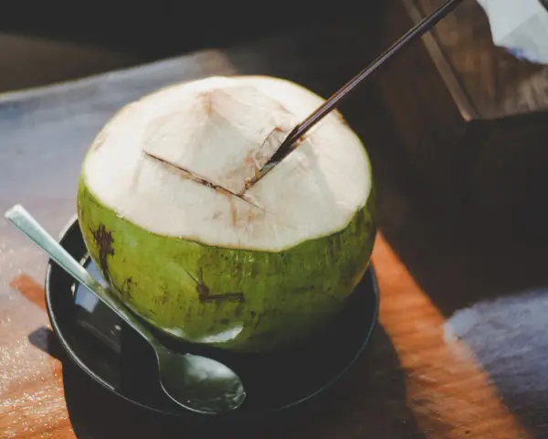 Une noix de coco fraîchement ouverte, prête à être dégustée. L'eau de coco, promesse d'une hydratation pure, est un délice qui ne trompe jamais.