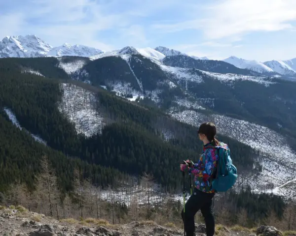Widok na wielki kopieniec górski pokryty lasem i śniegiem. Kobieta z plecakiem i kijkami trekkingowymi podziwia panoramę.