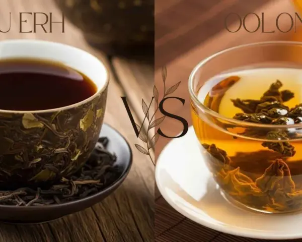 Dwa napary: ciemny Pu-erh i złocisty Oolong, prezentujące różne etapy fermentacji herbaty.