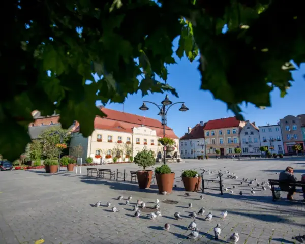 Rynek w Darłowie z kolorowymi kamienicami i gołębiami. Idealne miejsce na spacer i odkrywanie darłowskich atrakcji.