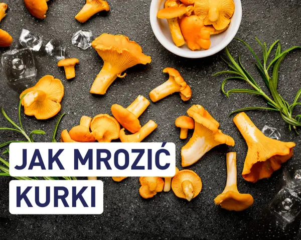 Świeże kurki i lód na ciemnym tle. Dowiedz się, czy kurki można mrozić, aby cieszyć się nimi dłużej.