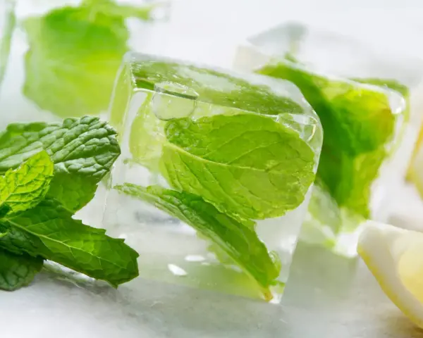 Frische Minzblätter eingefroren in Eiswürfeln, daneben Zitronenspalten. Perfekt für erfrischende Sommergetränke.