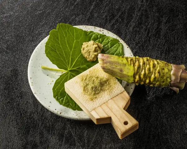 Świeży korzeń wasabi i pasta na tarce. Czy wasabi jest zdrowe? Tak, zawiera cenne składniki.