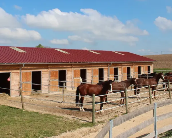 Chevaux dans leur écurie de propriétaire, sous un ciel bleu et nuageux. Les box en bois sont ouverts, révélant la paille.