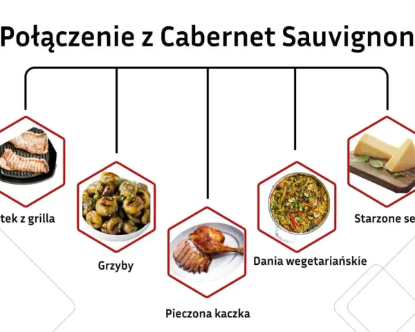 Cabernet Sauvignon jakie to wino? Idealne do steków z grilla, pieczonej kaczki, grzybów, dań wegetariańskich i starzonych serów.