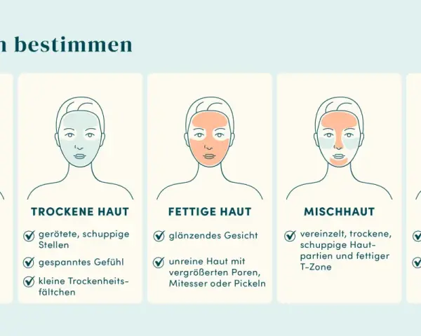 Illustrationen helfen, den Hauttyp zu bestimmen: normale, trockene, fettige, Mischhaut und sensible Haut.