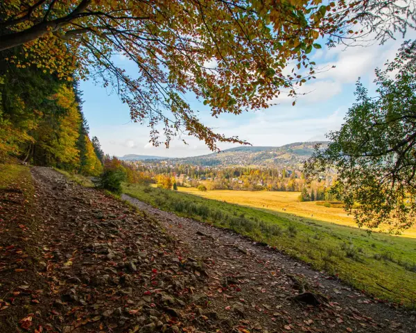 Jesienny szlak prowadzi do malowniczego widoku na Zakopane, idealne miejsce, by zobaczyć, co zwiedzić w okolicy.