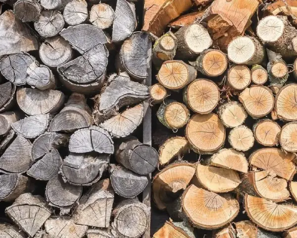 Gros tas de bois de chauffage trop vieux, certains grisâtres et usés, d'autres plus frais et orangés, empilés pour l'hiver.