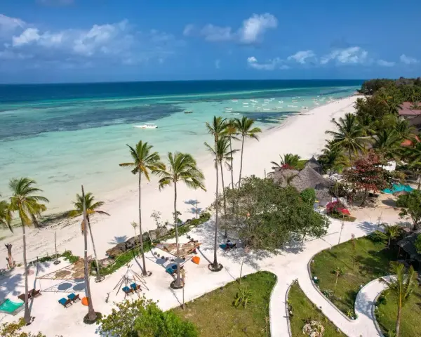 Zanzibar w czerwcu: biała plaża, turkusowa woda, palmy i słońce. Idealna pogoda na wakacje.