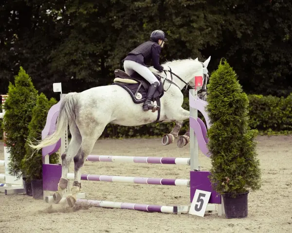 Un cavalier et un jeune cheval blanc sautent un obstacle lors d'une compétition équestre.