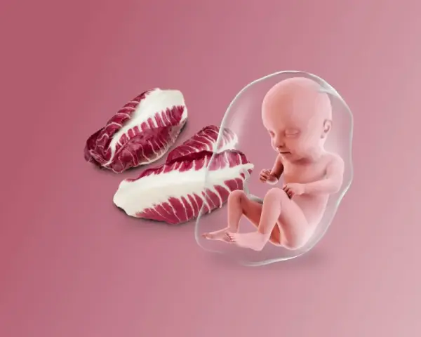 Feto a 25 settimane di gravidanza, accanto a foglie di radicchio.