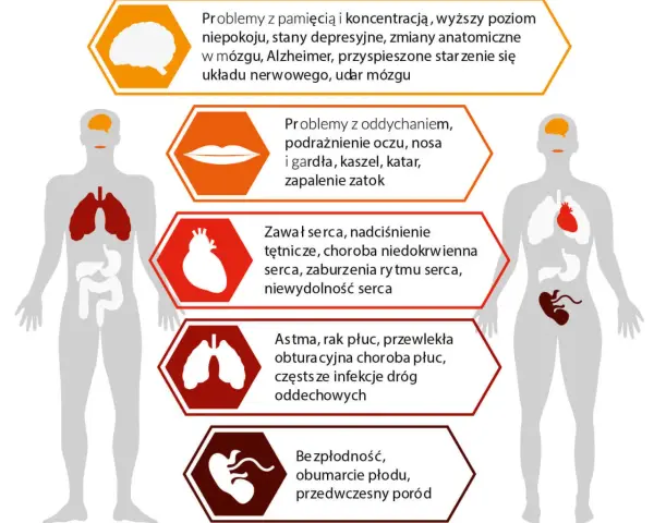 Przyczyna zanieczyszczenia środowiska: co naprawdę nas zagraża?