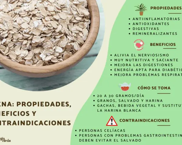 Avena: sus propiedades antiinflamatorias, antioxidantes y digestivas. Beneficios y cómo consumirla.