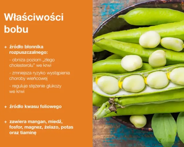 Bób - zdrowe nasiona bogate w błonnik i kwas foliowy. Niewielkie bób kalorie czynią go idealnym dodatkiem do diety.
