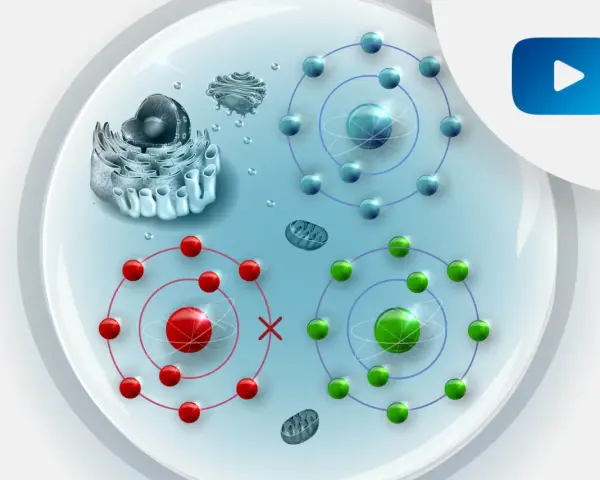 Komórka z organellami i atomami. Czerwone atomy symbolizują stres oksydacyjny, zielone i niebieskie zdrowe.