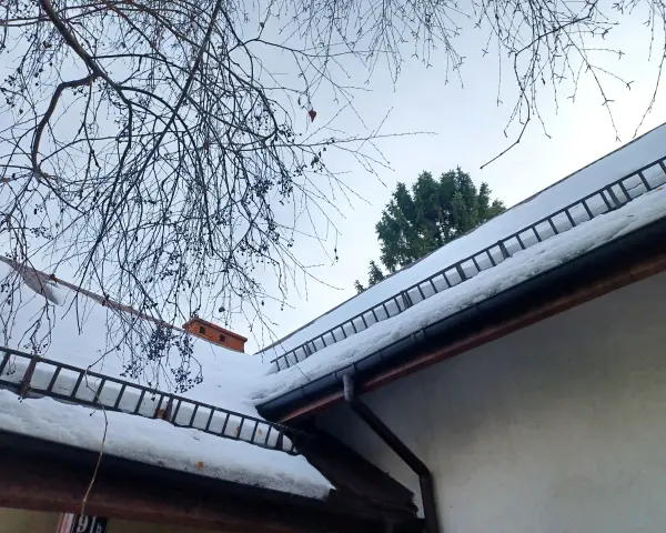 Dach stromy pokryty śniegiem, z drabinkami zabezpieczającymi przed lawinami. Gałęzie drzew wiszą nad nim.
