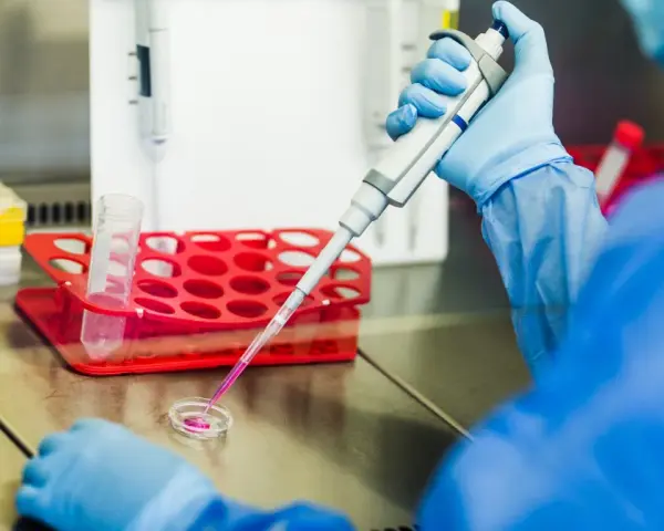 Naukowczyni w niebieskim fartuchu pobiera pipetą próbkę, która może być cenną **krwią pępowinową**, do dalszych badań laboratoryjnych.