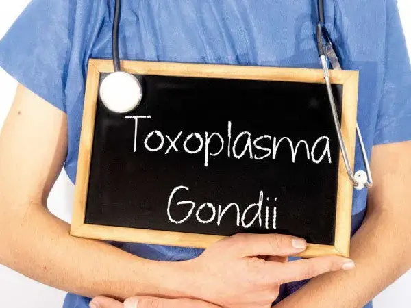 Toksoplazmoza objawy psychiczne: niebezpieczne skutki dla zdrowia